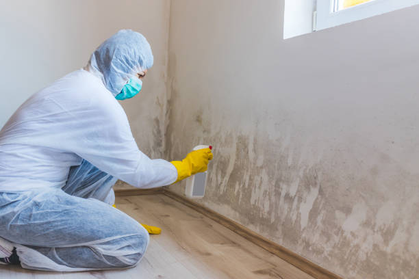 Crawl Space Mold Remediation treatment of floor joists in Rockwood